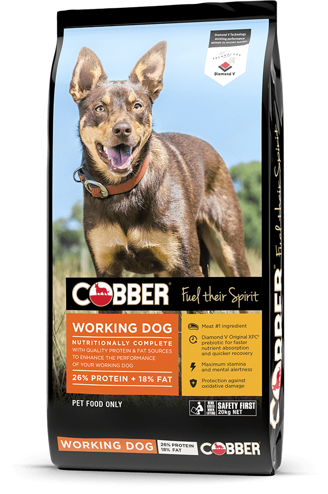 Cobber Working Dog Tucker Tub