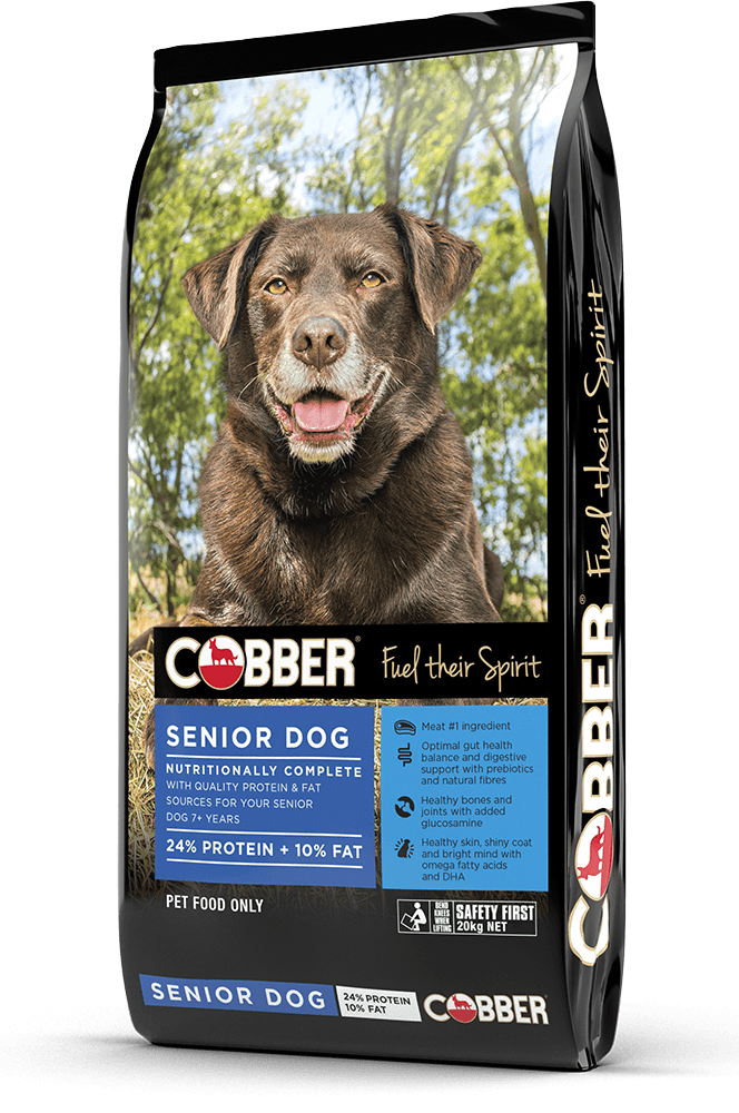 Cobber Senior Dog Tucker Tub