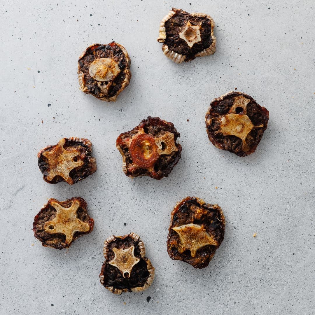 Healthy Dog Treats Delivered Tucker Tub