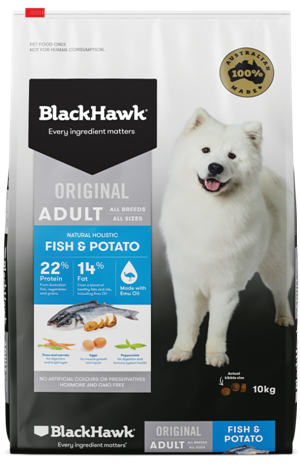 Black Hawk Original Adult, Fish & Potato