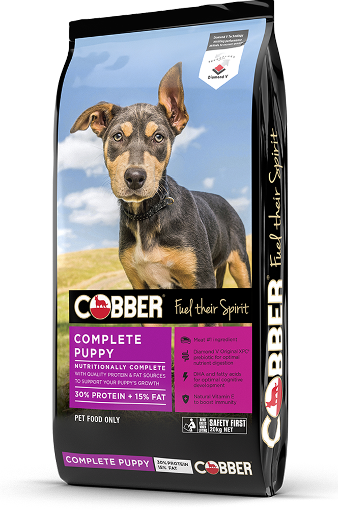 Cobber Complete Puppy