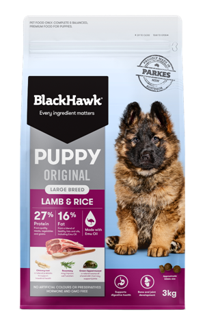 Black Hawk Puppy Large Breed, Lamb & Rice