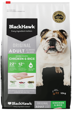 Black Hawk Adult, Chicken & Rice